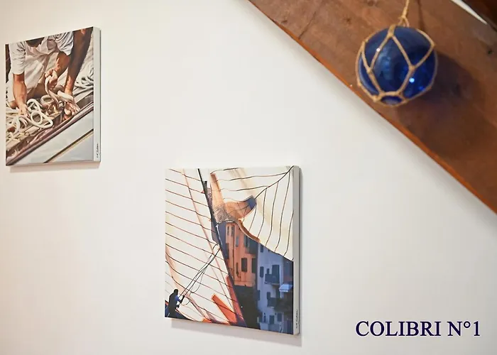 Le colibri