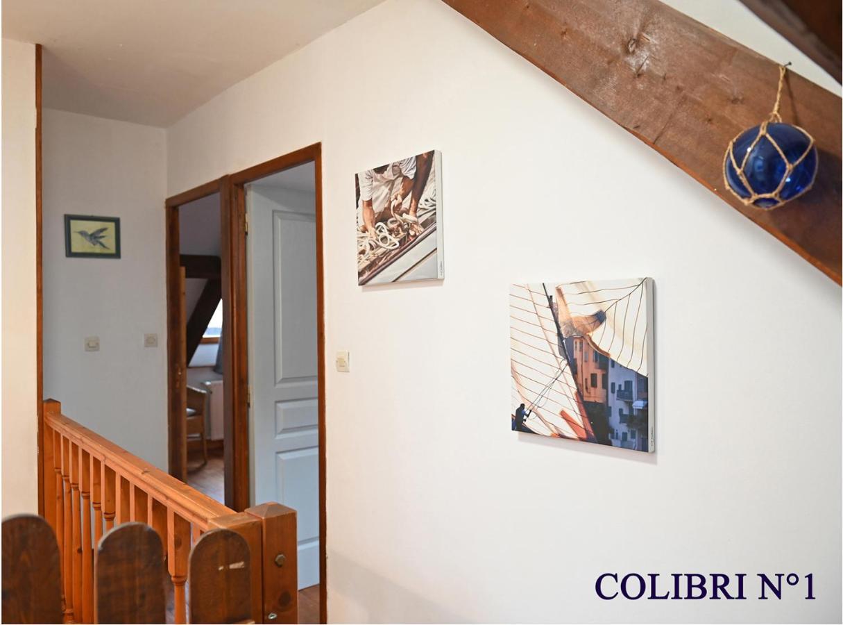 Le Colibri